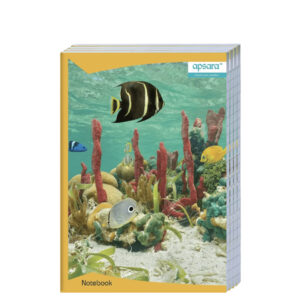 Apsara a4  notebook 29.7*21cm 400pg  (single line)