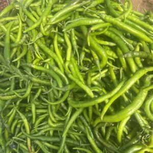 Green chilli (hari mirch)