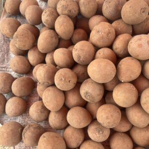 Virat chikoo (Sapota) 1kg