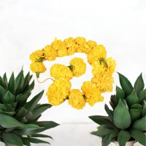 Marigold yellow genda fresh 1pc